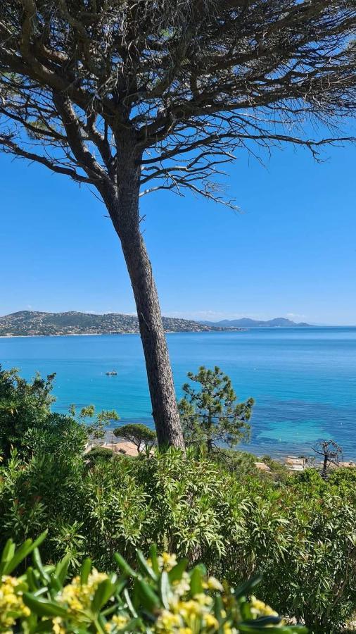 Apartament Mi Casita Sainte-Maxime Zewnętrze zdjęcie